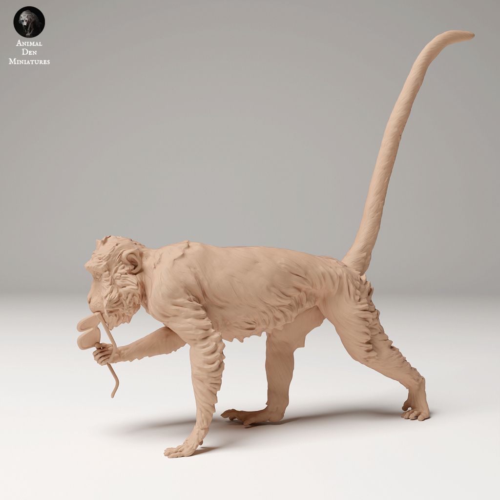 tw-11134207-7rasl-m4kclnf9cphn59