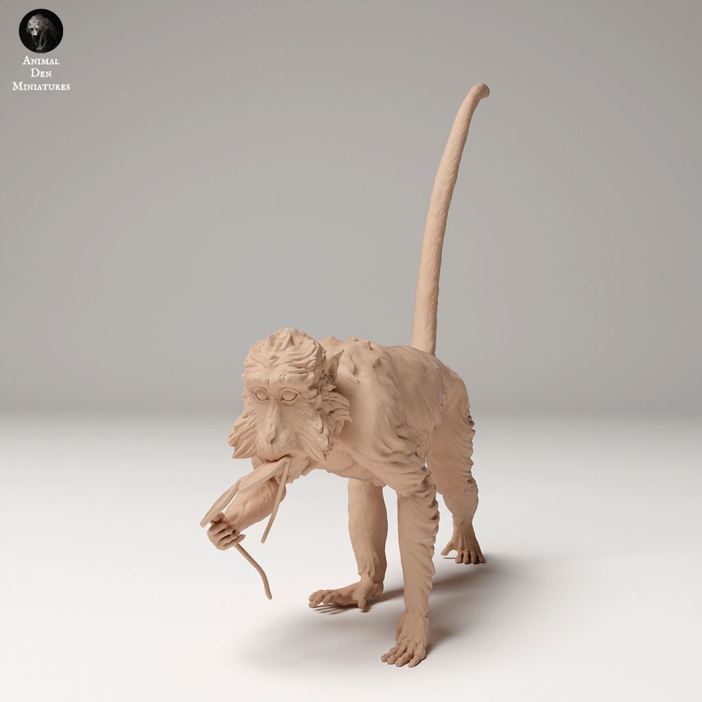 tw-11134207-7rasm-m4kclng3a32j9e