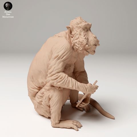 tw-11134207-7rase-m4kcl98637yje0