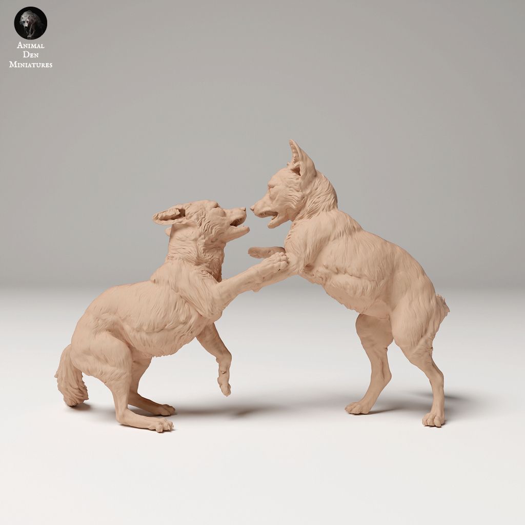 tw-11134207-7rasm-m4kci41bqbdpef