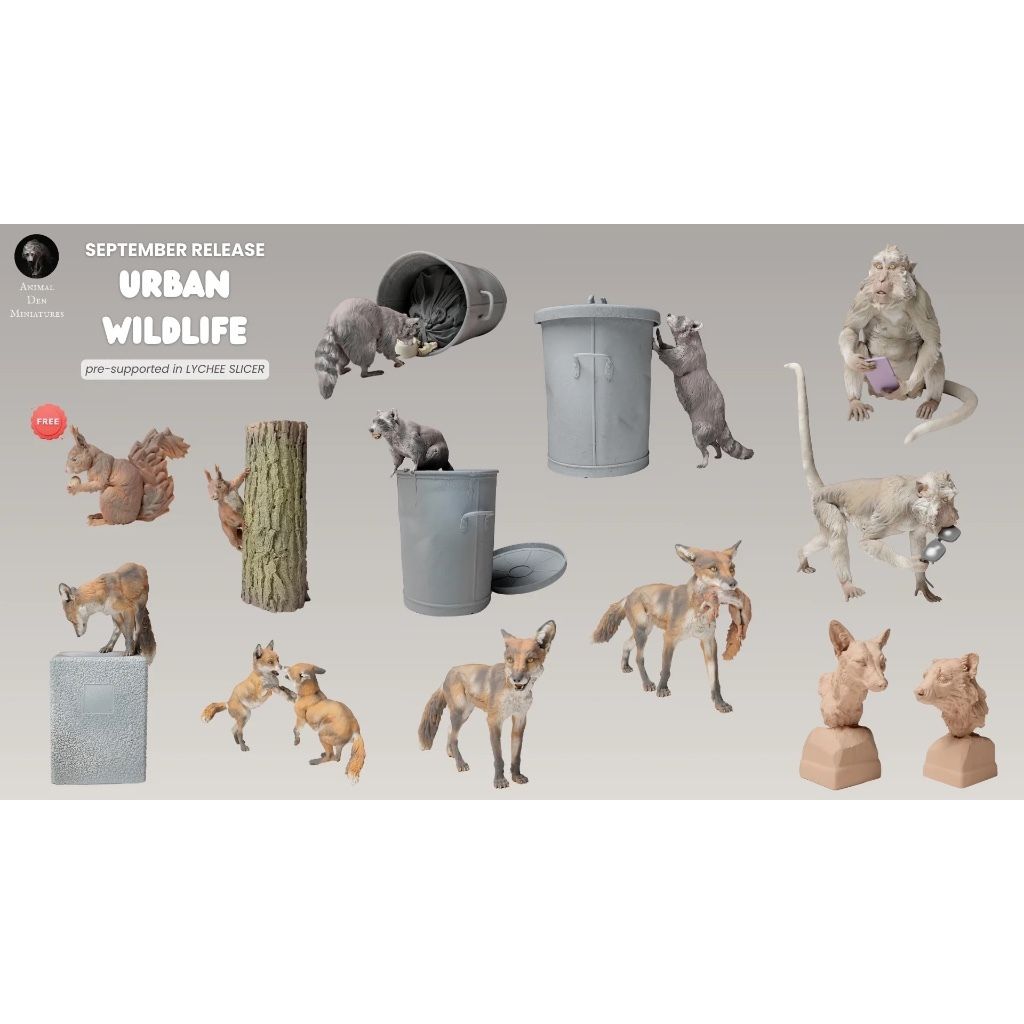 tw-11134207-7rasl-m4kcktif34qoae