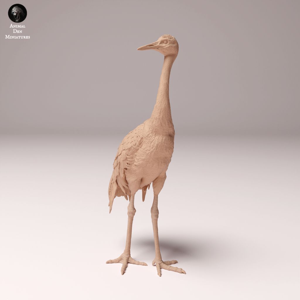 tw-11134207-7ras8-m4kczq6jqi1hb4