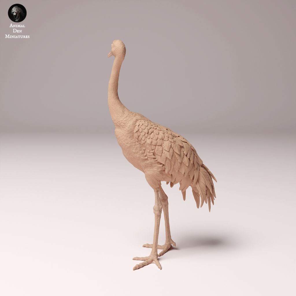 tw-11134207-7rask-m4kczq6jrx25fa