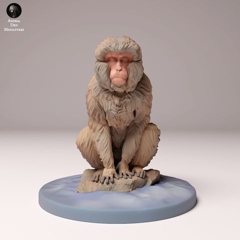 tw-11134207-7rasg-m4kd03eydc5xfb