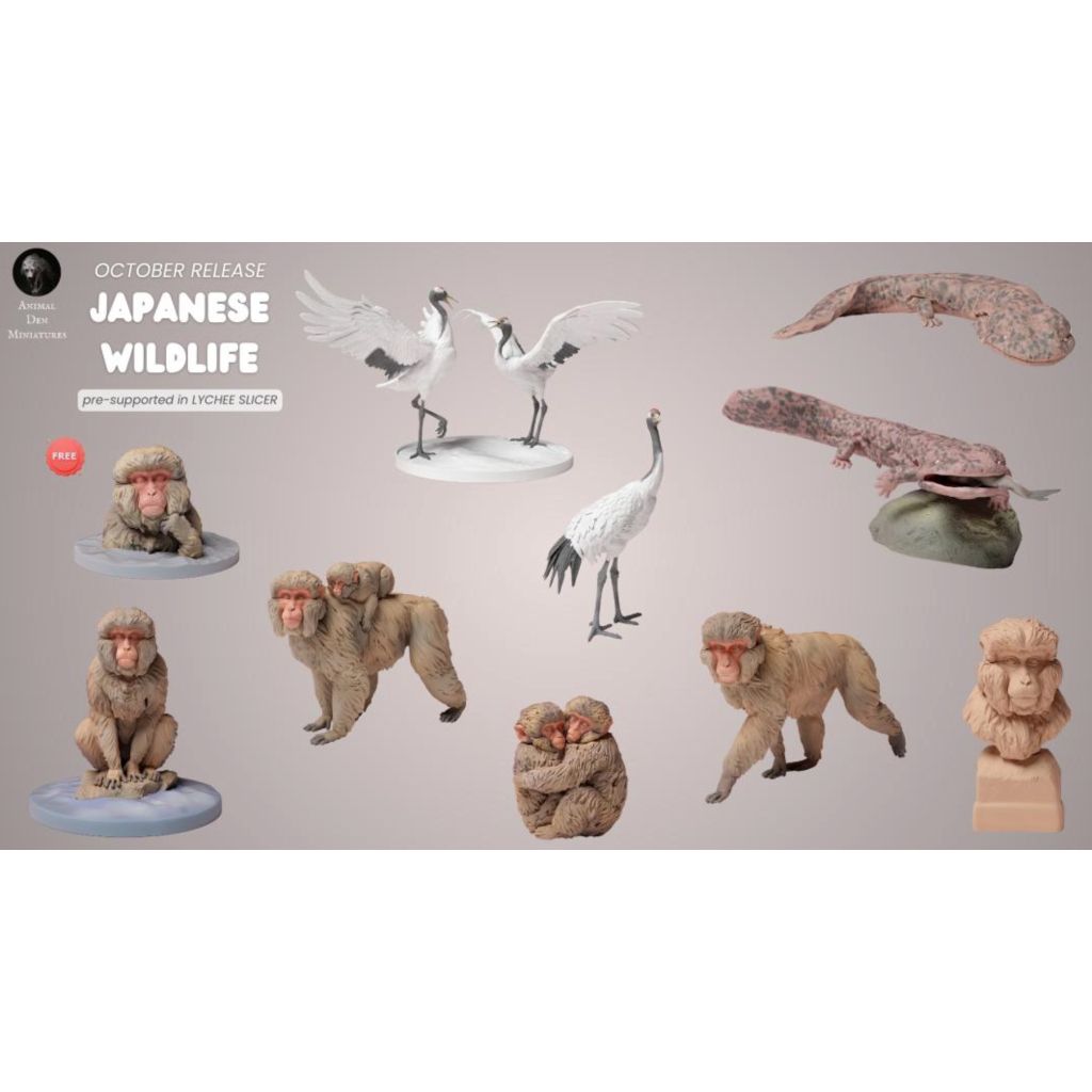 tw-11134207-7rask-m4kd03gcbb2te7