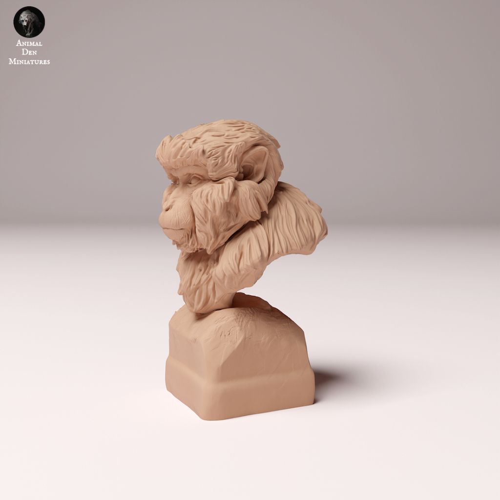 tw-11134207-7rasc-m4kcz1hjvg9pb2