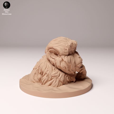 tw-11134207-7rase-m4kd0pc2al25ba