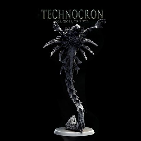 tw-11134207-7rasi-m4otrsgp25kwb5