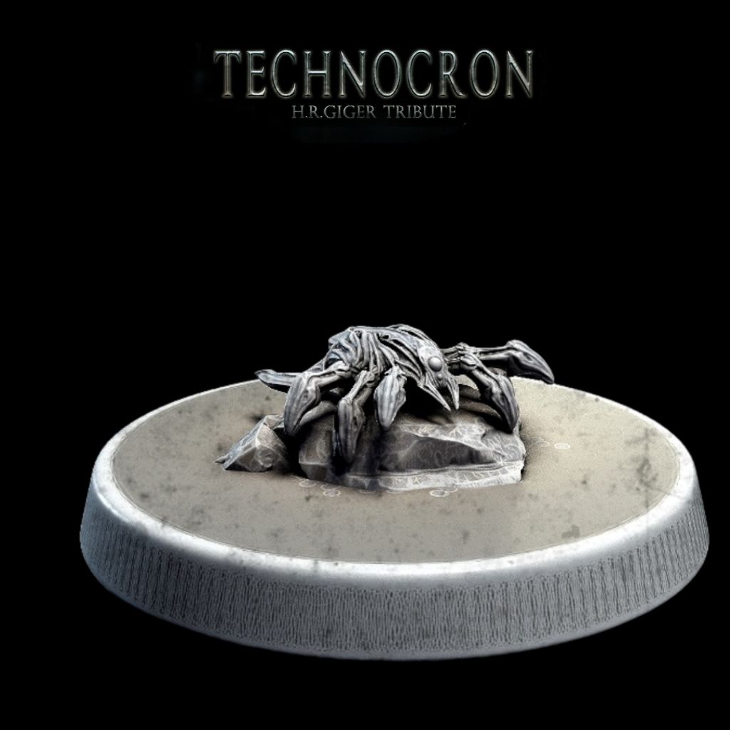 tw-11134207-7rash-m4ou0t5fyhora0