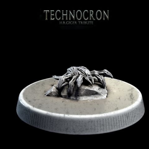 tw-11134207-7rash-m4ou0t5fyhora0