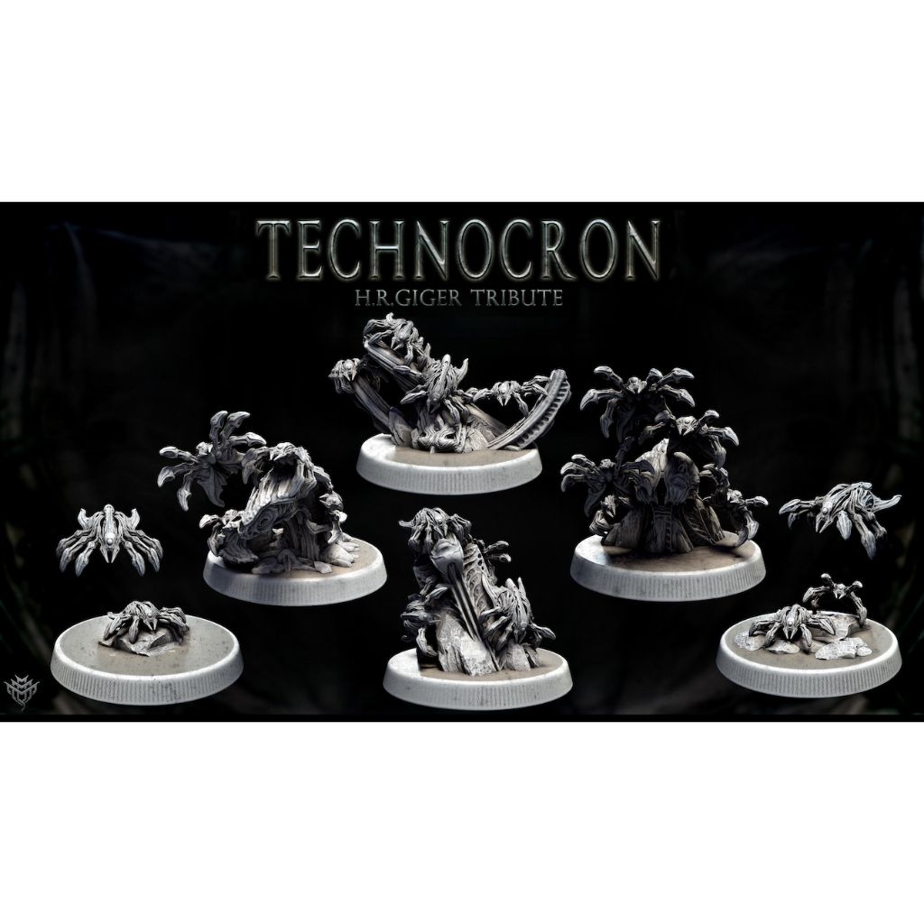 tw-11134207-7rash-m4ov6tmsmi1h57