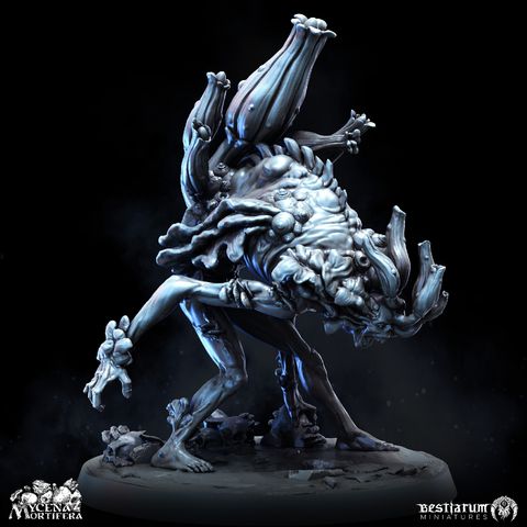 tw-11134207-7rash-m4vxj4mrfetp22