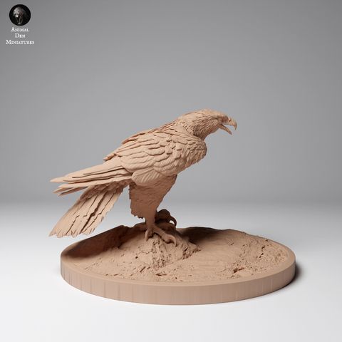 tw-11134207-7rask-m6aoydt8v15i60