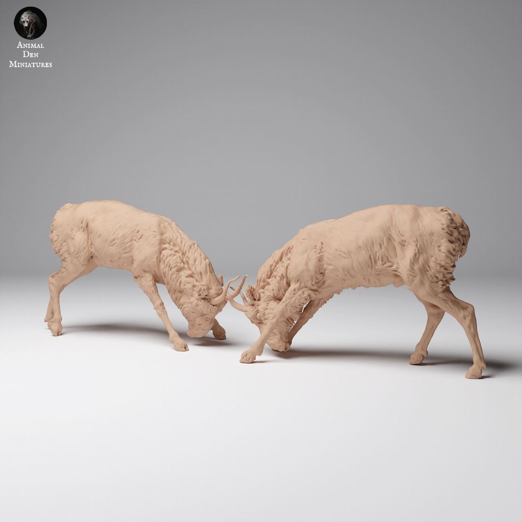 tw-11134207-7rase-m6aox2aeenbq43