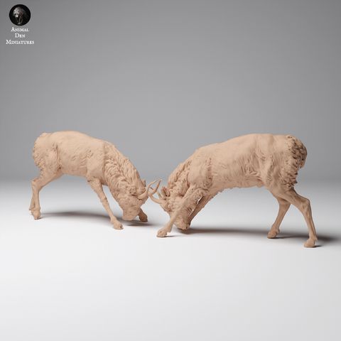 tw-11134207-7rase-m6aox2aeenbq43