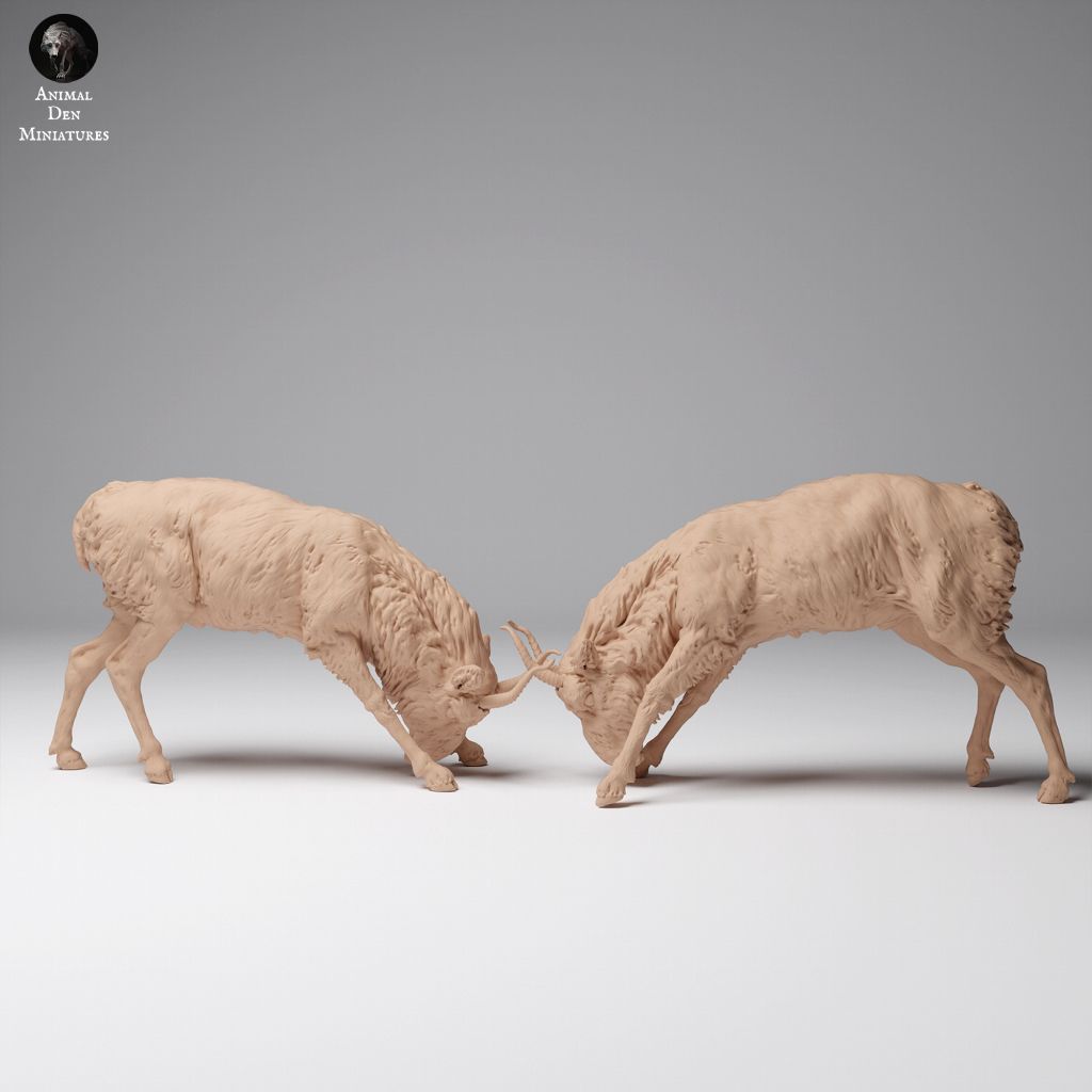 tw-11134207-7rasm-m6aox2a4f1xy8a