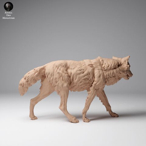 tw-11134207-7rase-m6aoxpso08lybf