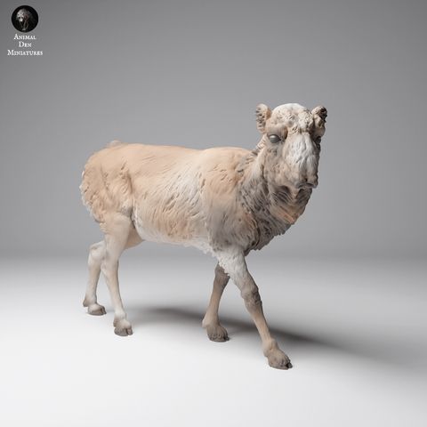 tw-11134207-7rasf-m6ap0i8b181ted