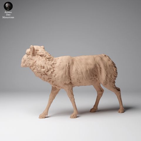 tw-11134207-7rasd-m6ap0i8v1tdtc8