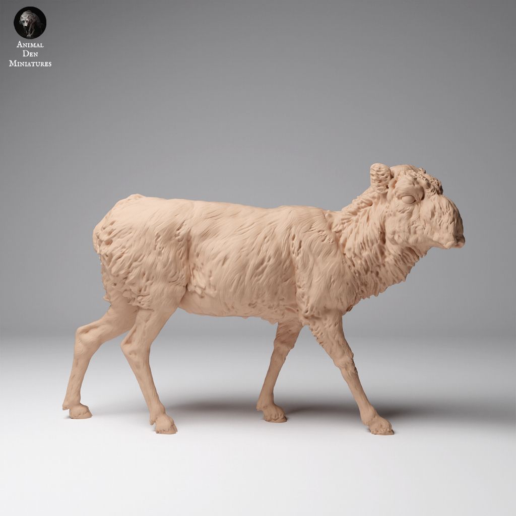 tw-11134207-7rasl-m6ap0i8v0exk18