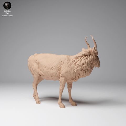 tw-11134207-7ras8-m6ap0bpulq8174