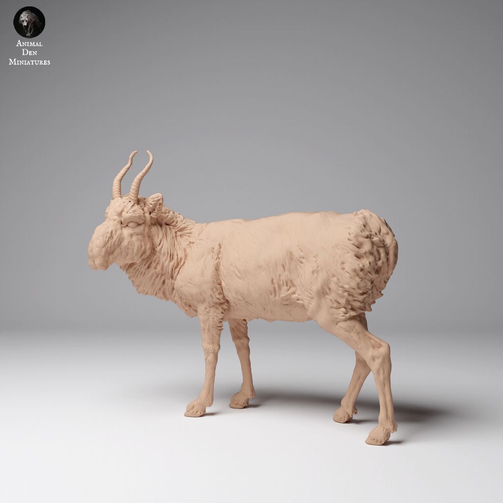 tw-11134207-7rasj-m6ap0bpun4sh9f