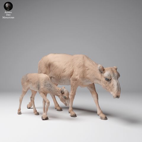 tw-11134207-7rase-m6aoxfbbcfg69c