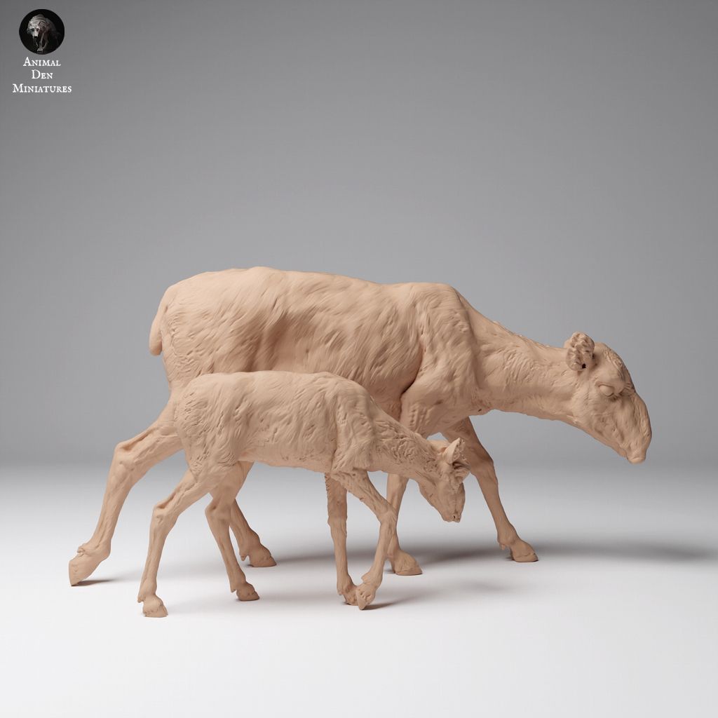 tw-11134207-7rash-m6aoxfbbdu0mea