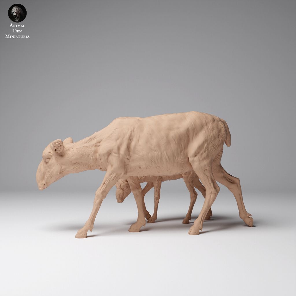 tw-11134207-7rasf-m6aoxfbbcg460a