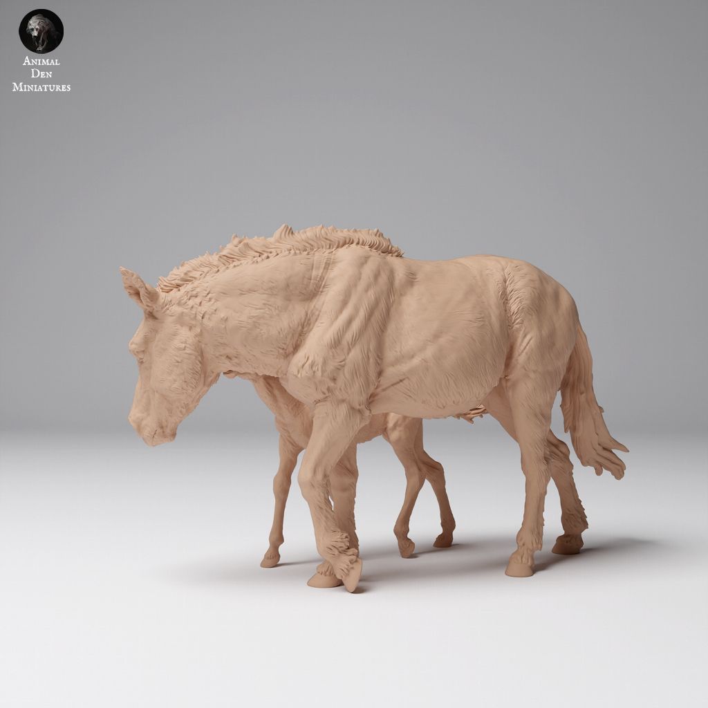 tw-11134207-7rasa-m6aoywu10x12ac