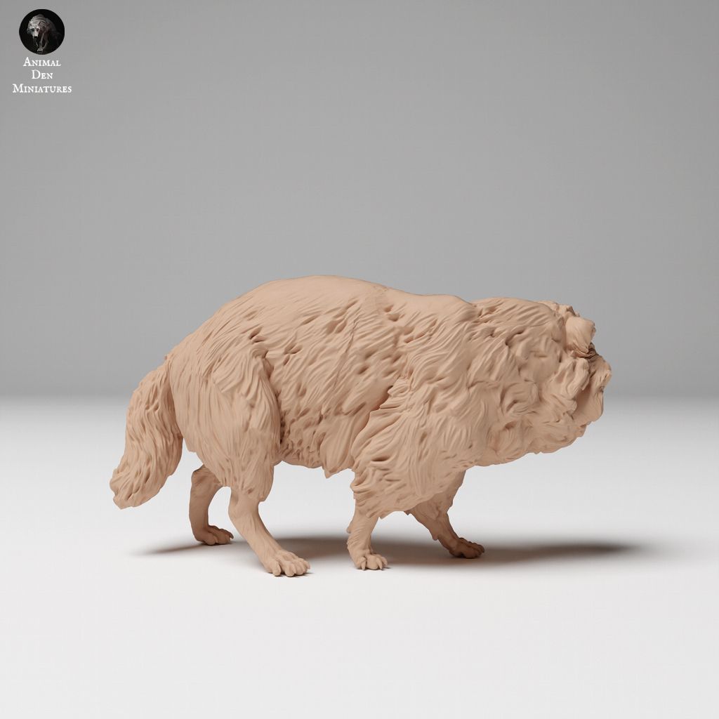 tw-11134207-7rasg-m6aoibgb7y5269