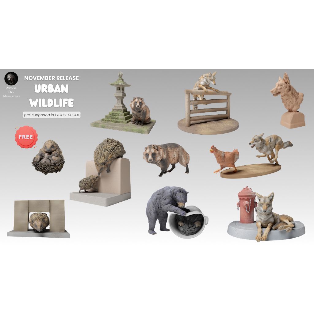 tw-11134207-7rask-m6aoibgbc56e11