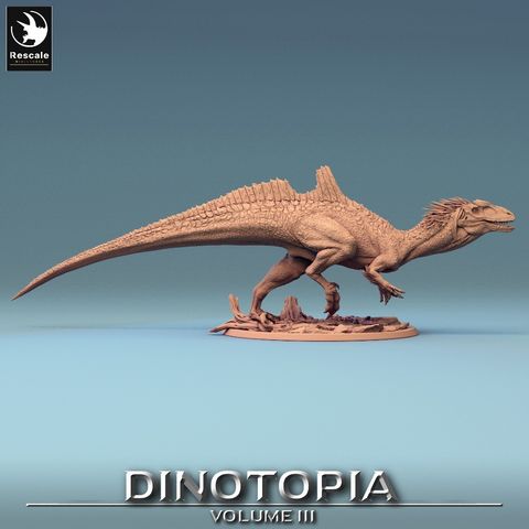 tw-11134207-7r992-lxrq4kia5jc6c7