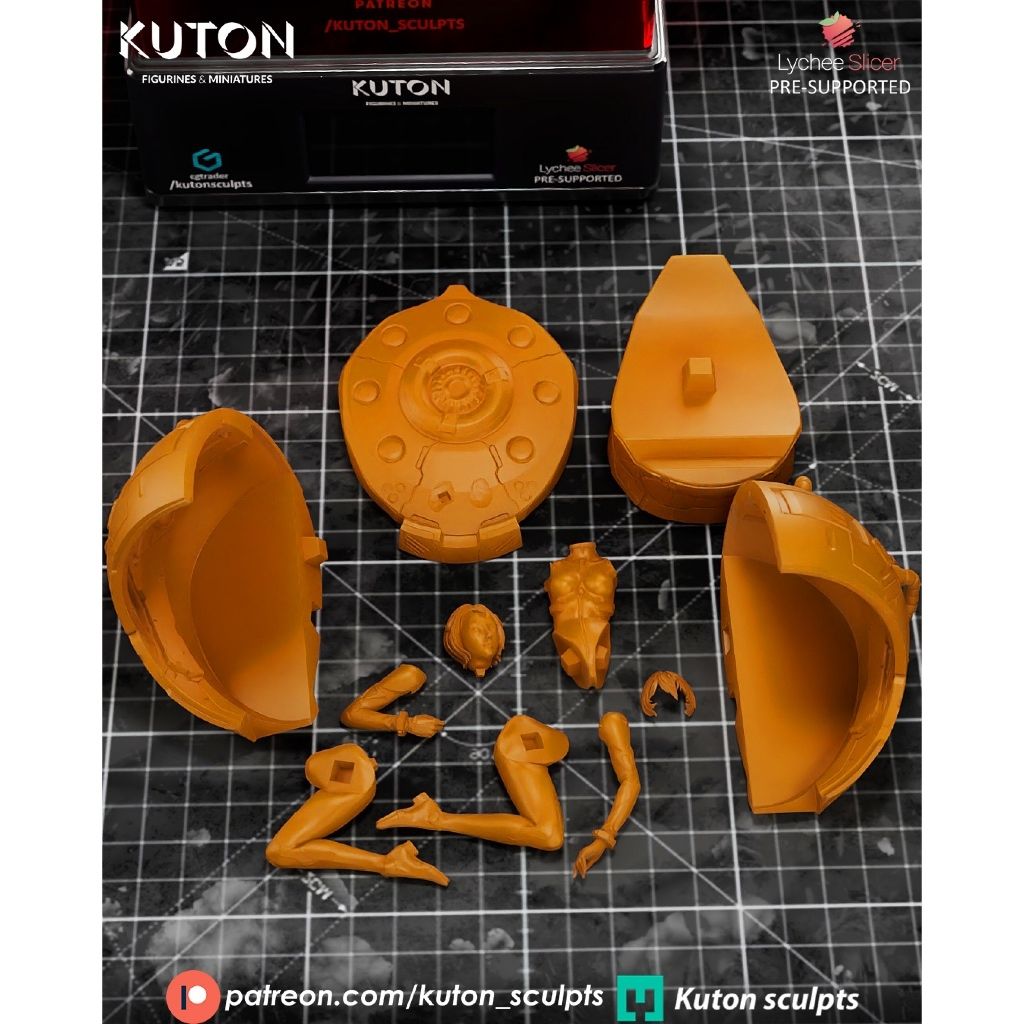 tw-11134207-7ra0k-mbkdkjpujmkkda