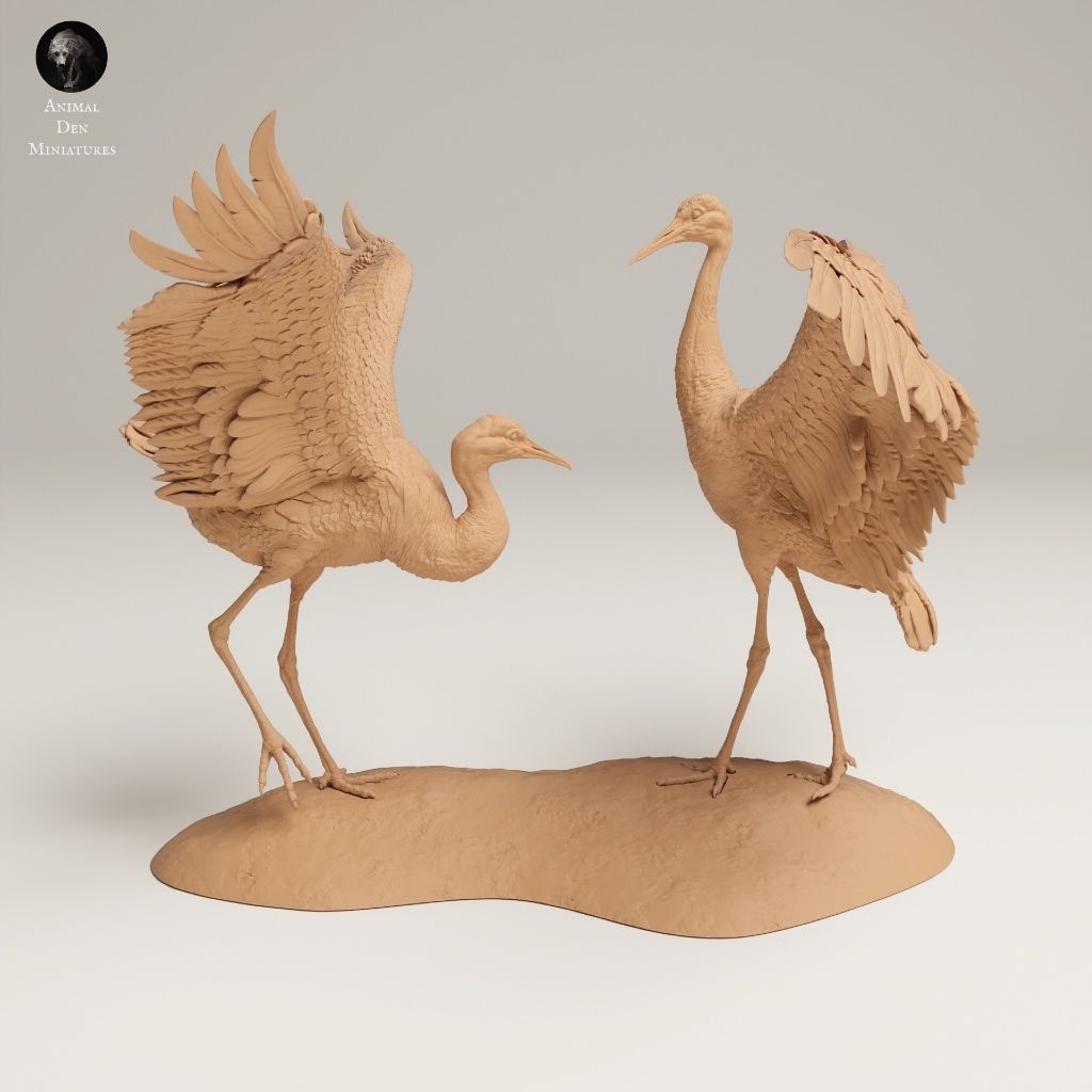 tw-11134207-7ra0j-mcd1sry6p08haa