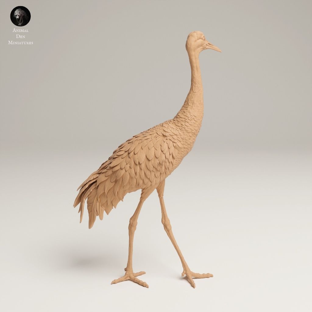 tw-11134207-7ra0q-mcd21kwwusfle6