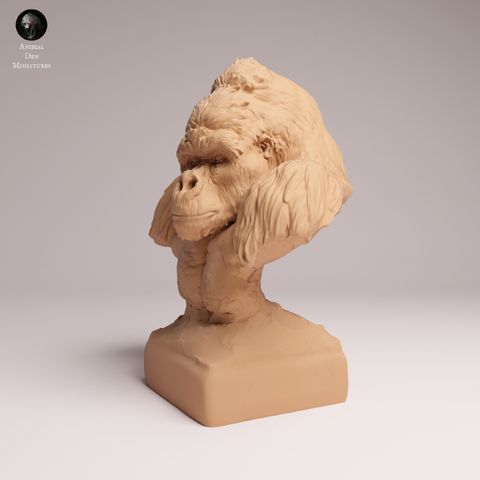 tw-11134207-7ra0l-mcee2907q1i457