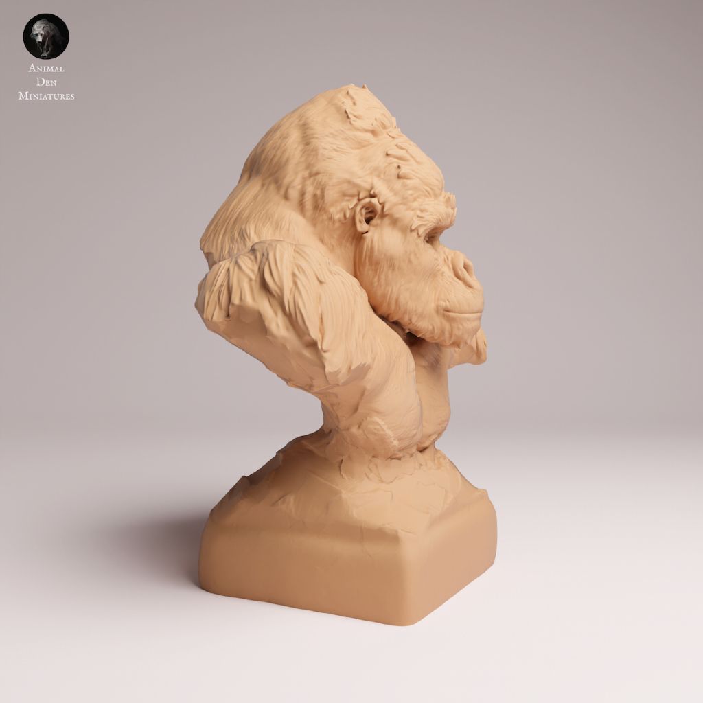 tw-11134207-7ra0l-mcee2907q1cr58