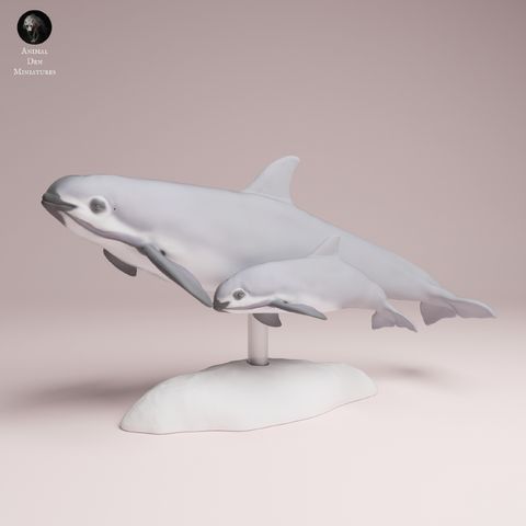 tw-11134207-7ra0k-mcedki9mfvym62