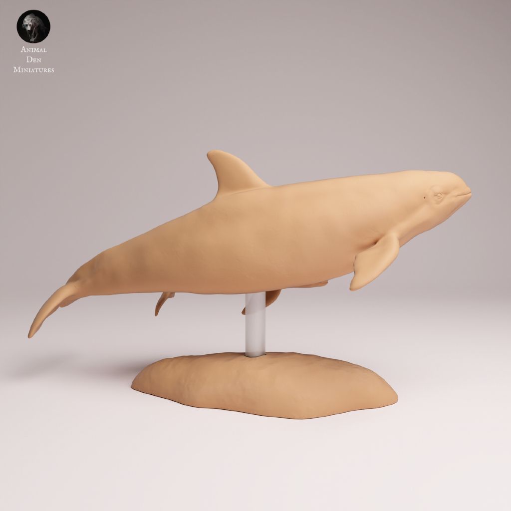 tw-11134207-7ra0u-mcedki9mhawh27