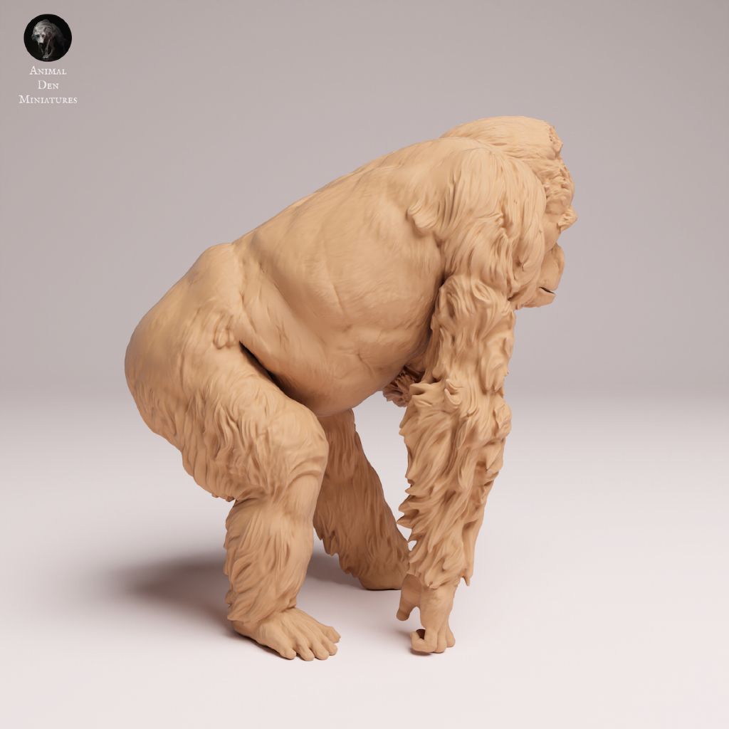 tw-11134207-7ra0i-mcedllff4tji54