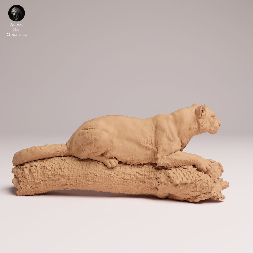 tw-11134207-7ra0l-mcedjyf5iu1a60