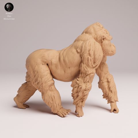 tw-11134207-7ra0j-mcedmg6i4qku65