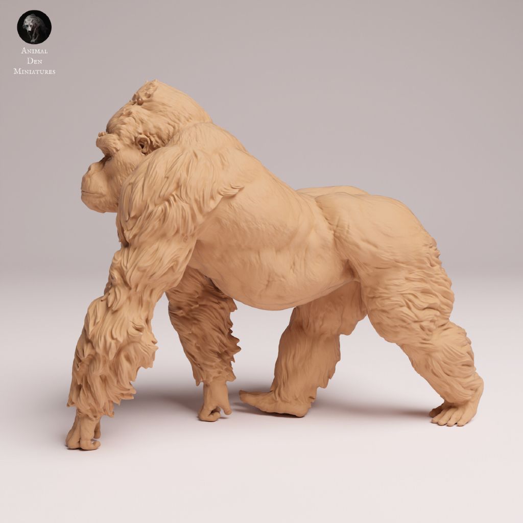 tw-11134207-7ra0r-mcedmg6i655af3