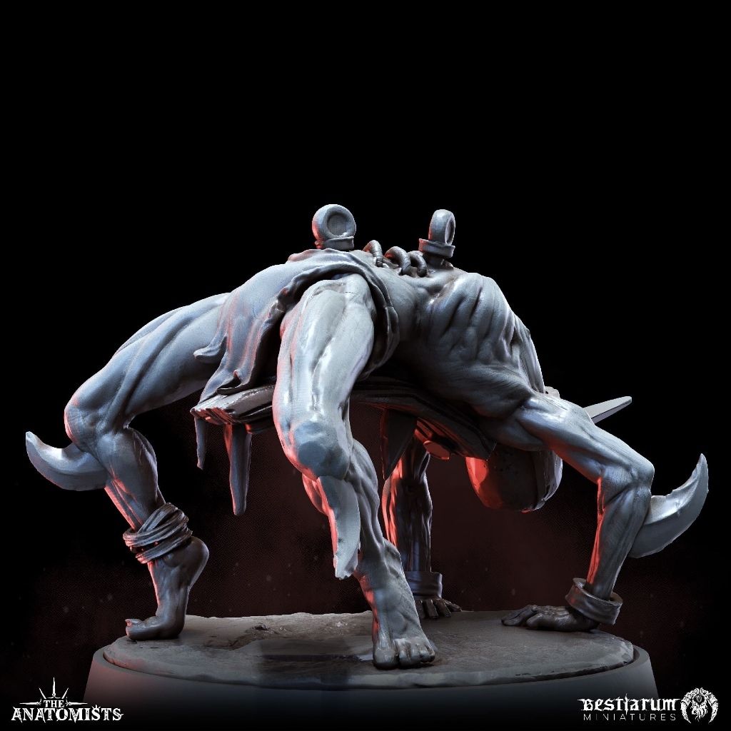 tw-11134207-7ra0i-mdmbbgyhozk769