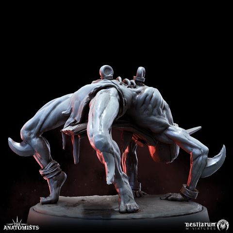 tw-11134207-7ra0i-mdmbbgyhozk769