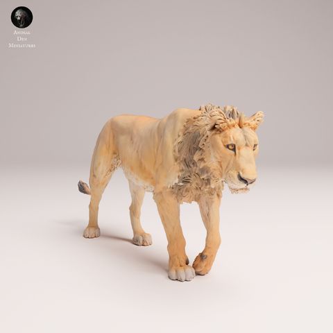 tw-11134207-81ztj-mefg7drr7aise4