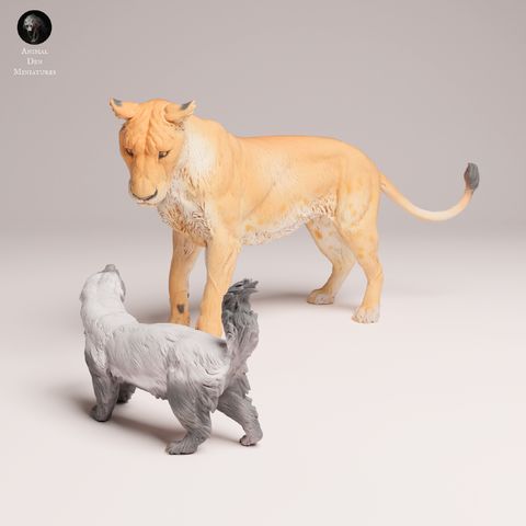 tw-11134207-81zte-mefg1qqg66tf28