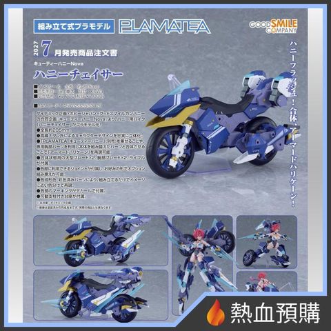 19565_1-preorder