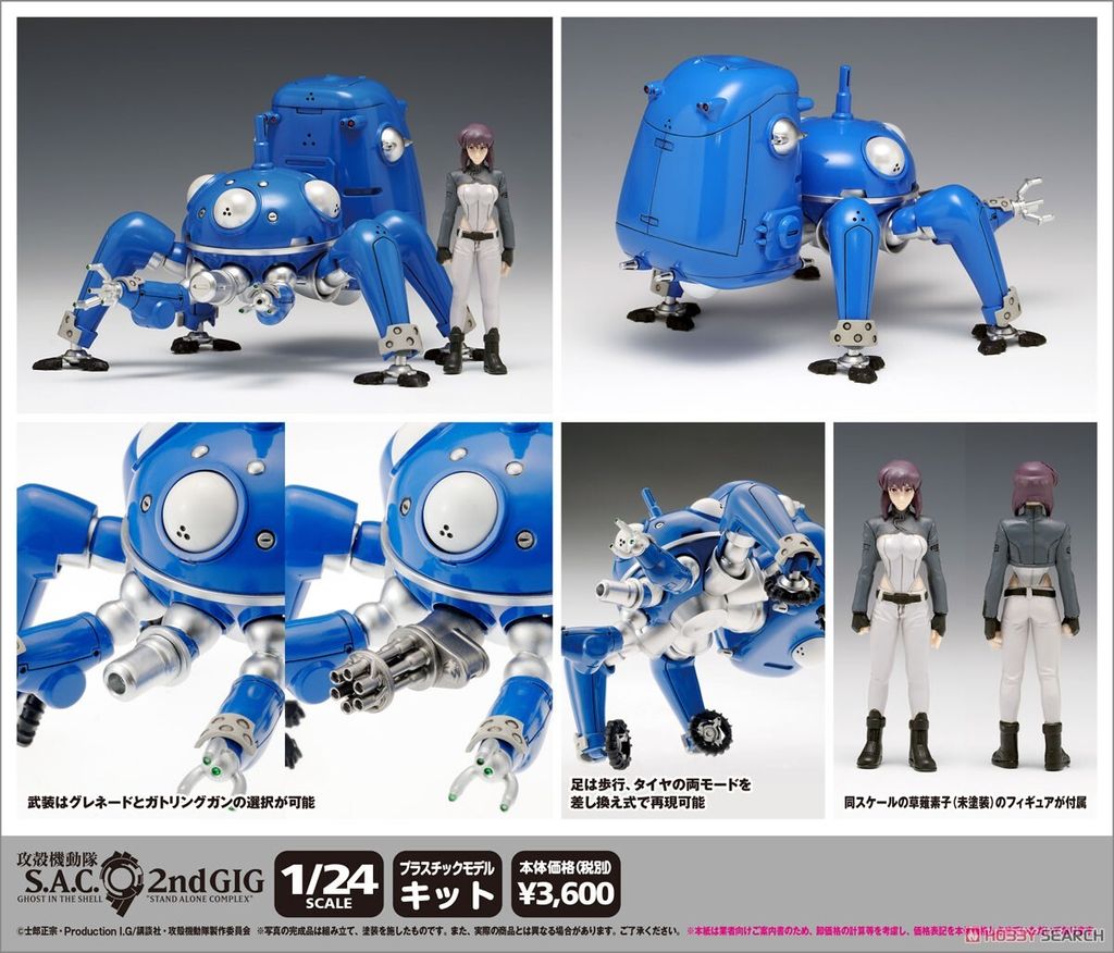 6247_9